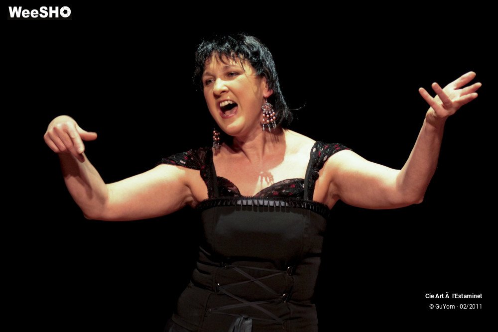 35/41 photos du spectacle Les Ratés de la Bagatelle